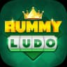 Rummy Ludo logo